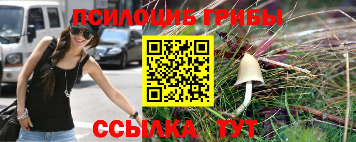 Сосновоборск  Псилоцибиновые грибы MAGIC MUSHROOMS  Псилоцибиновые грибы Cubensis  Вход с VPN 
